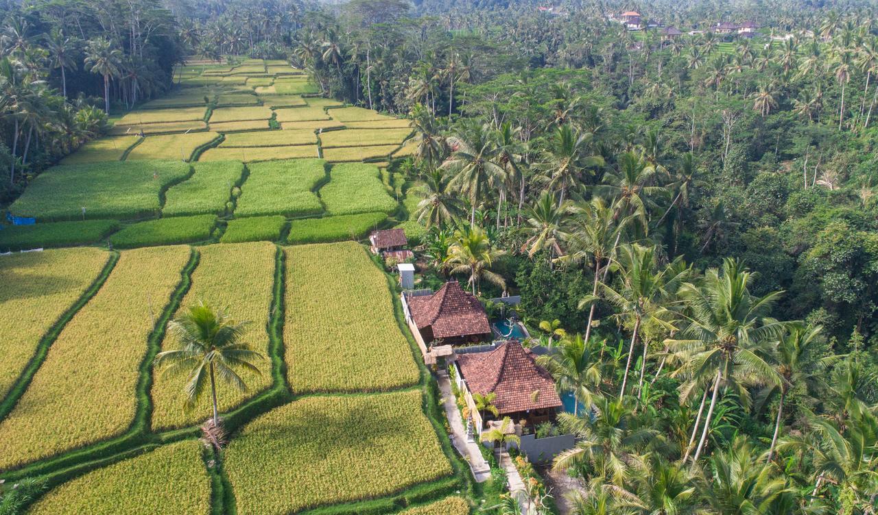 Mandana Ubud Villa מראה חיצוני תמונה